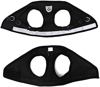 FEimaX Dog Harness and Leash Set - Image 6