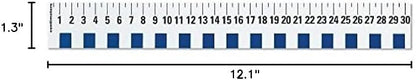 hand2mind 12 inch Flexible Safe-T Plastic Beginner Rulers - Image 3