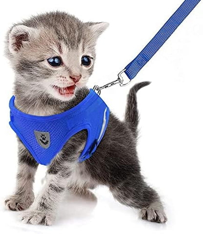 FEimaX Dog Harness and Leash Set - Image 3