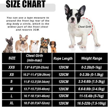 FEimaX Dog Harness and Leash Set - Image 5