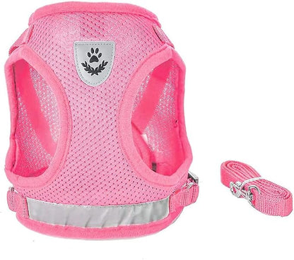 FEimaX Dog Harness and Leash Set - Image 3