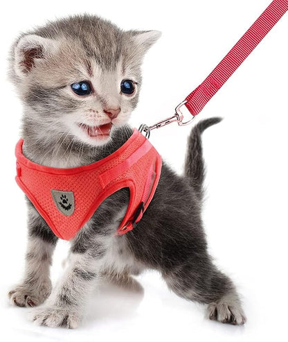 FEimaX Dog Harness and Leash Set - Image 2