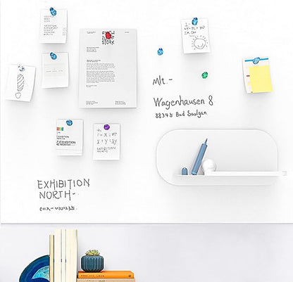 Ant Mag Magnetic Push Pins Strong Push Pin Magnets - Image 5