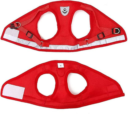 FEimaX Dog Harness and Leash Set - Image 6