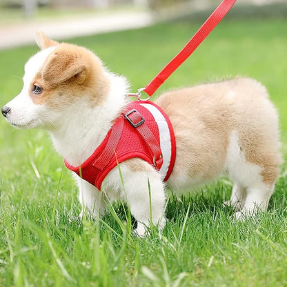 FEimaX Dog Harness and Leash Set - Image 7