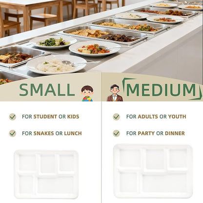 WELLIFE 100% Compostable 5 Compartment Paper Plates, 100 Pack Disposable School - Image 8