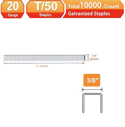20 Guage Galvanized T/50 Staples - Image 2