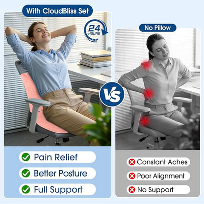 CloudBliss Lumbar Support Pillow & Seat Cushion Set - Image 8