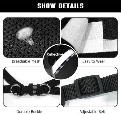 FEimaX Dog Harness and Leash Set - Image 4