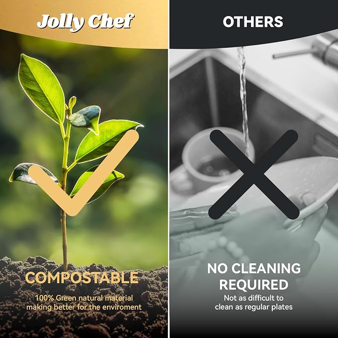 JOLLY CHEF Compostable  Compartment  *   Paper Plates Heavy - Image 9