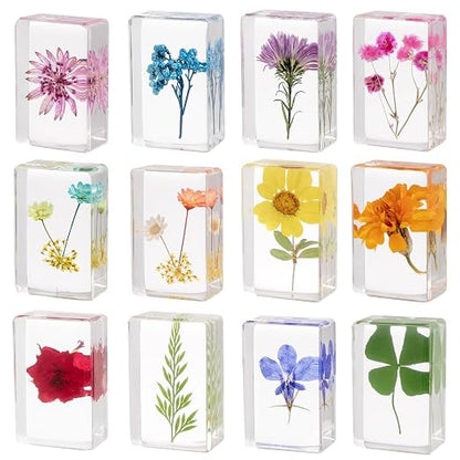 12 Pcs Real Pressed Flower Resin Paperweights by CuriositiesfromtheNaturalWorld
