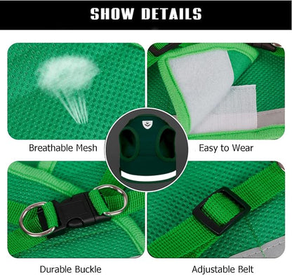 FEimaX Dog Harness and Leash Set - Image 4