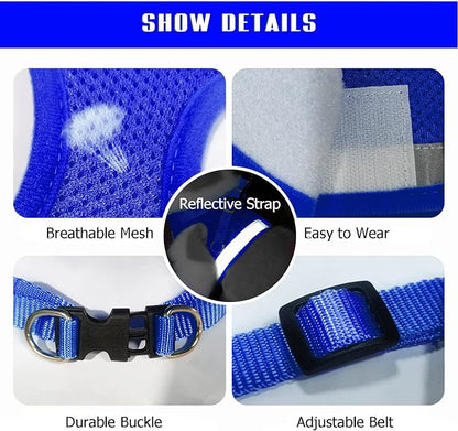 FEimaX Dog Harness and Leash Set - Image 5