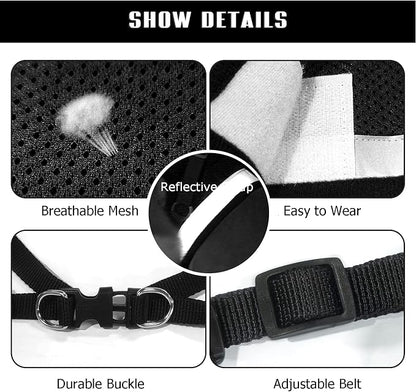 FEimaX Dog Harness and Leash Set - Image 4