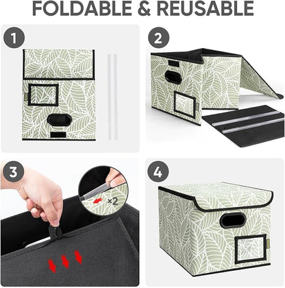 BALEINE File Organizer Box - Image 8