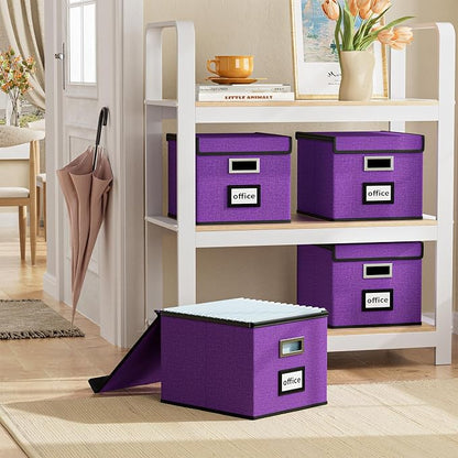 File Organizer Box with Lid, Collapsible File Folder Organizer - Image 2