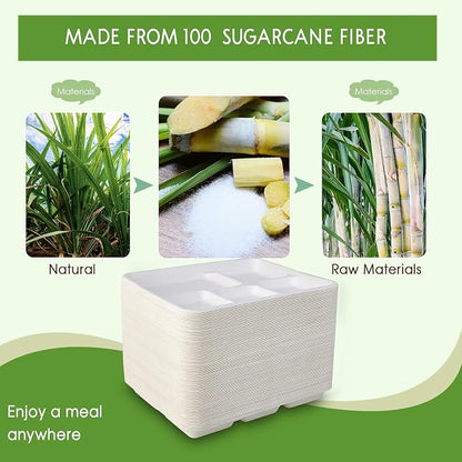Vplus 100% Compostable Small 5 Compartment Plates 125 Pack 10.25 x 8.25 inch - Image 7